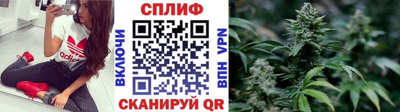 Продажа наркотиков Новая Ладога Бошки Шишки Кокаин Амфетамин ГАШИШ Alpha-PVP