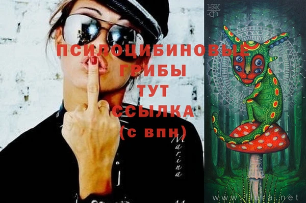 первитин Белокуриха
