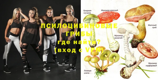 прущие крисы Балахна